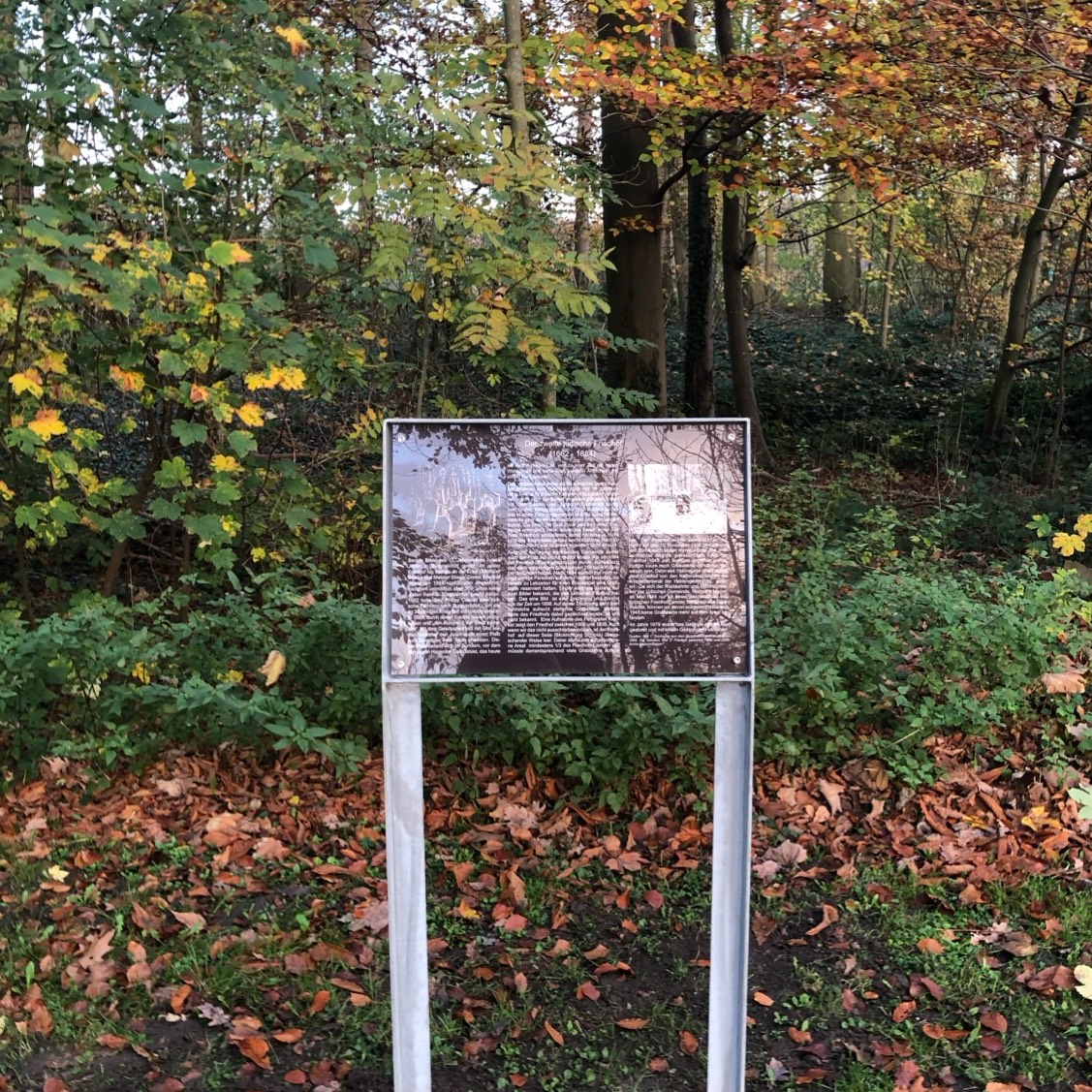 Bild5